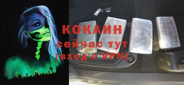 тгк Лагань