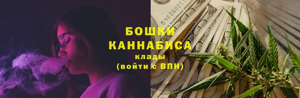 тгк Лагань