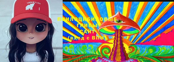 тгк Лагань