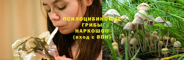 тгк Лагань