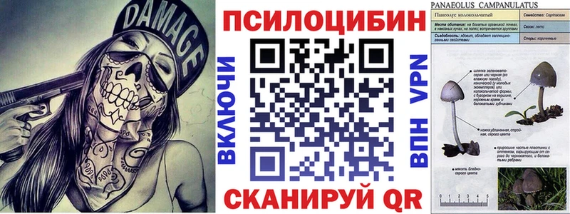 Псилоцибиновые грибы Magic Shrooms Сердобск
