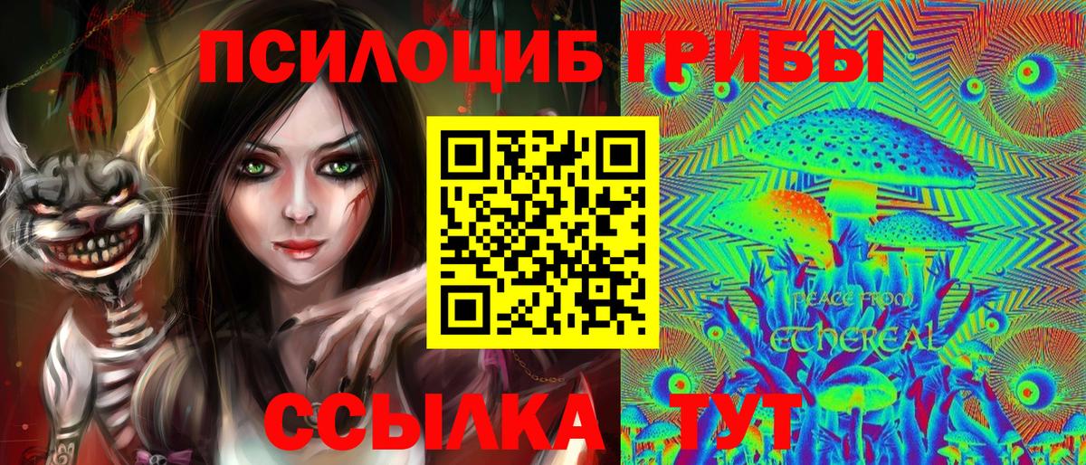 Галлюциногенные грибы мухоморы Сердобск