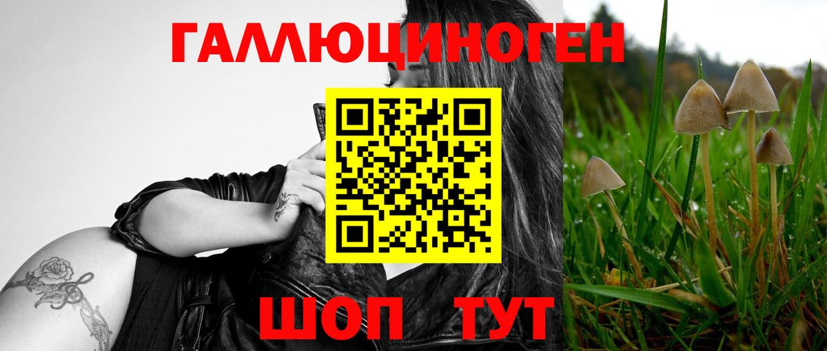 Псилоцибиновые грибы Cubensis  Галлюциногенные грибы Psilocybe  Вход с VPN  Сердобск 